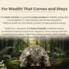 1 Vastu Pyrite Tortoise |Abundance, Support financial growth, career success, grounding energy, and emotional balance.