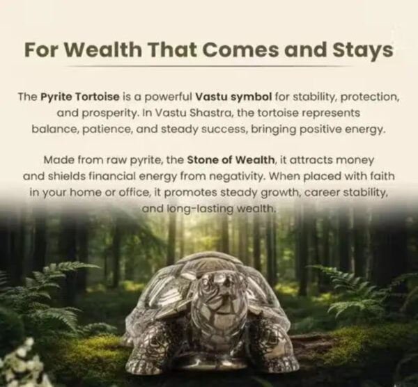 1 Vastu Pyrite Tortoise |Abundance, Support financial growth, career success, grounding energy, and emotional balance.