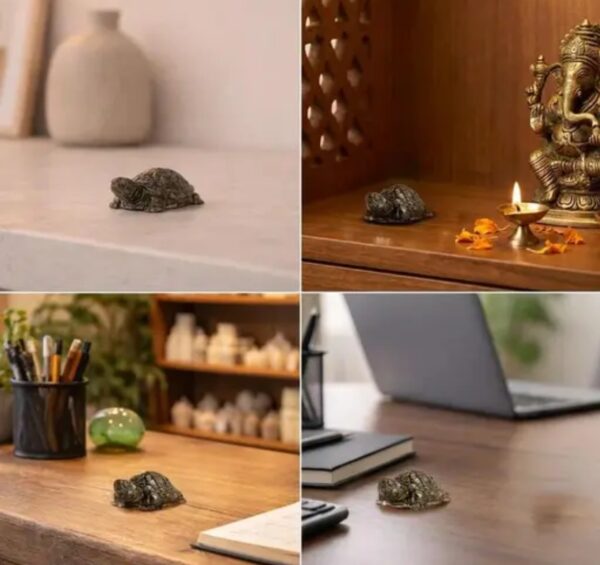 12 Vastu Pyrite Tortoise |Abundance, Support financial growth, career success, grounding energy, and emotional balance.