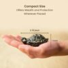 Vastu Pyrite Tortoise |Abundance, Support financial growth, career success, grounding energy, and emotional balance.