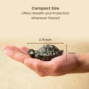 Vastu Pyrite Tortoise |Abundance, Support financial growth, career success, grounding energy, and emotional balance.