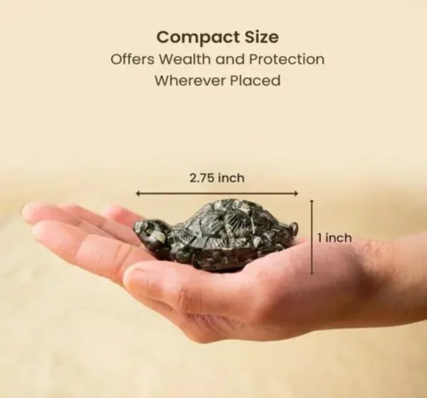 3 Vastu Pyrite Tortoise |Abundance, Support financial growth, career success, grounding energy, and emotional balance.