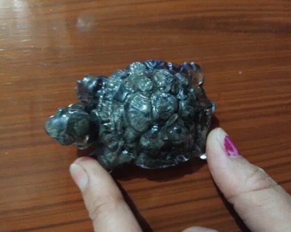 4 Vastu Pyrite Tortoise |Abundance, Support financial growth, career success, grounding energy, and emotional balance.