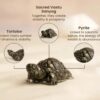 5 Vastu Pyrite Tortoise |Abundance, Support financial growth, career success, grounding energy, and emotional balance.