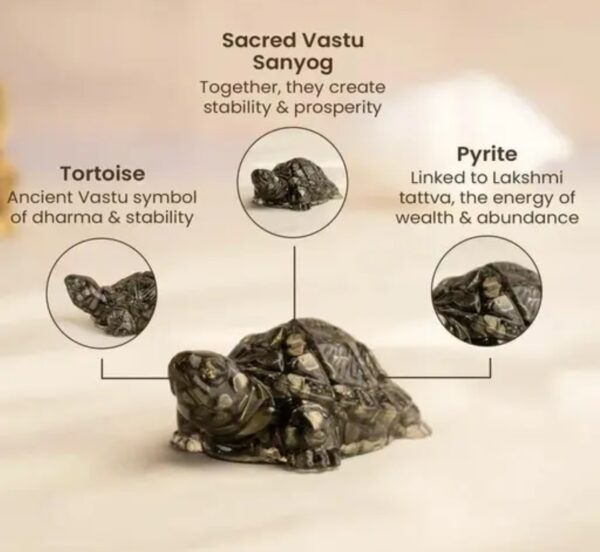 5 Vastu Pyrite Tortoise |Abundance, Support financial growth, career success, grounding energy, and emotional balance.