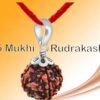 5mrudh 3 5 Mukhi Rudraksha | Nepali Rudraksha | Spiritual Protection, Inner Peace, and Positive Energy