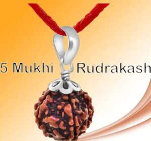 5 Mukhi Rudraksha | Nepali Rudraksha | Spiritual Protection, Inner Peace, and Positive Energy