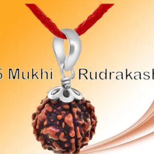 5 Mukhi Rudraksha | Nepali Rudraksha | Spiritual Protection, Inner Peace, and Positive Energy