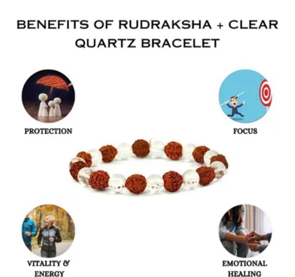 Rudraksha & Clear Quartz Natural Bracelet |For mental clarity, emotional balance, spiritual protection, and inner peace